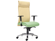 Fabric Executive Chair CG-C379